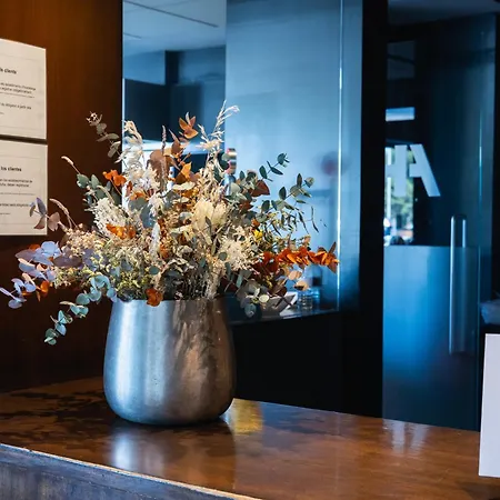America 3*